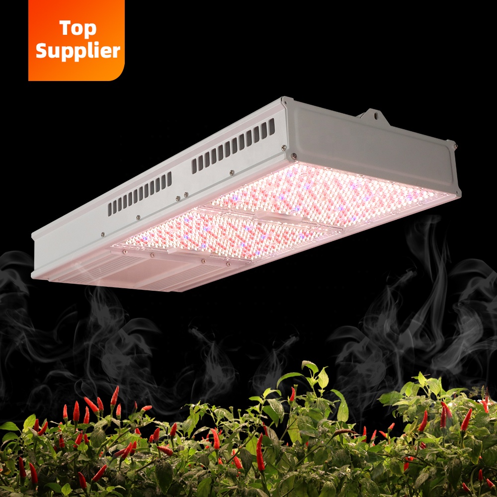 Indoor Plants - Uygun Maliyetli 600W 800W Toplight Tam