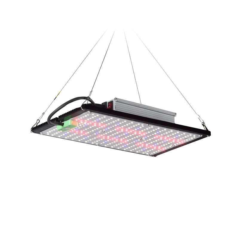 Indoor Plants - LED Kuantum Panel Bitki Yetiştirme Lambası
