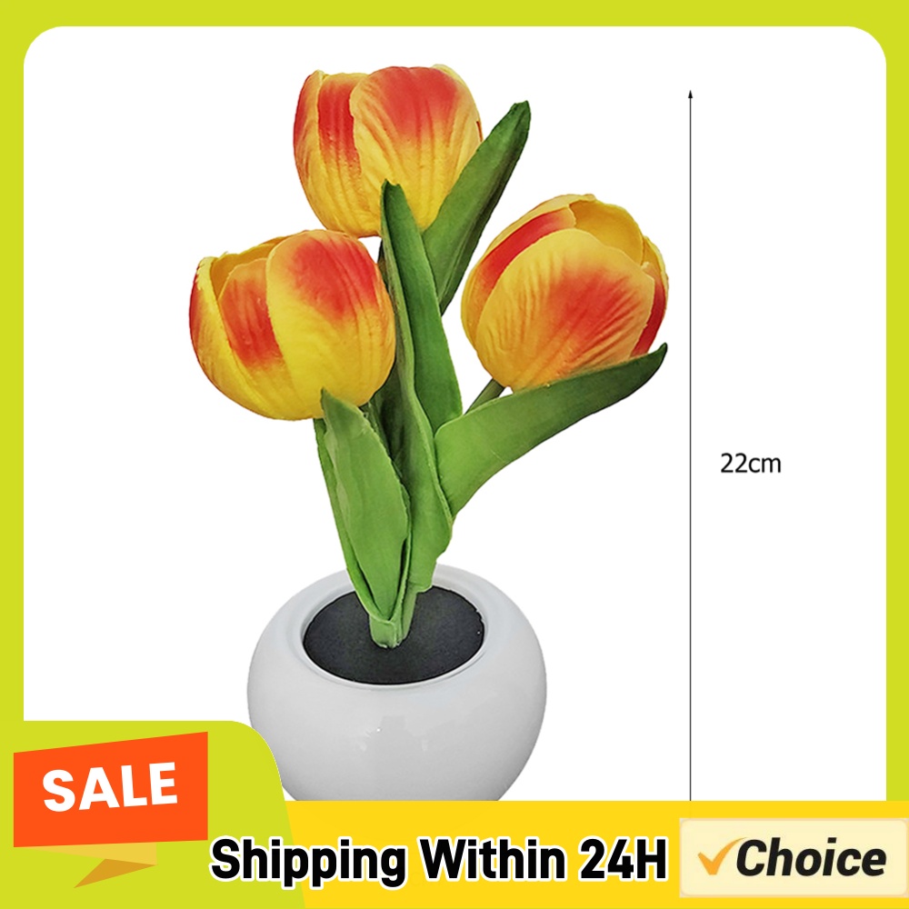Plant Pot - 9x22 cm boyutlarında, saksılı bitki şeklinde