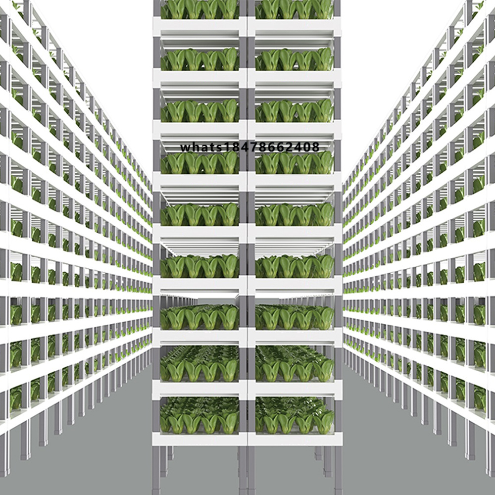 Indoor Plants - Uygulama Kontrollü Akıllı Hidroponik Sistem İç