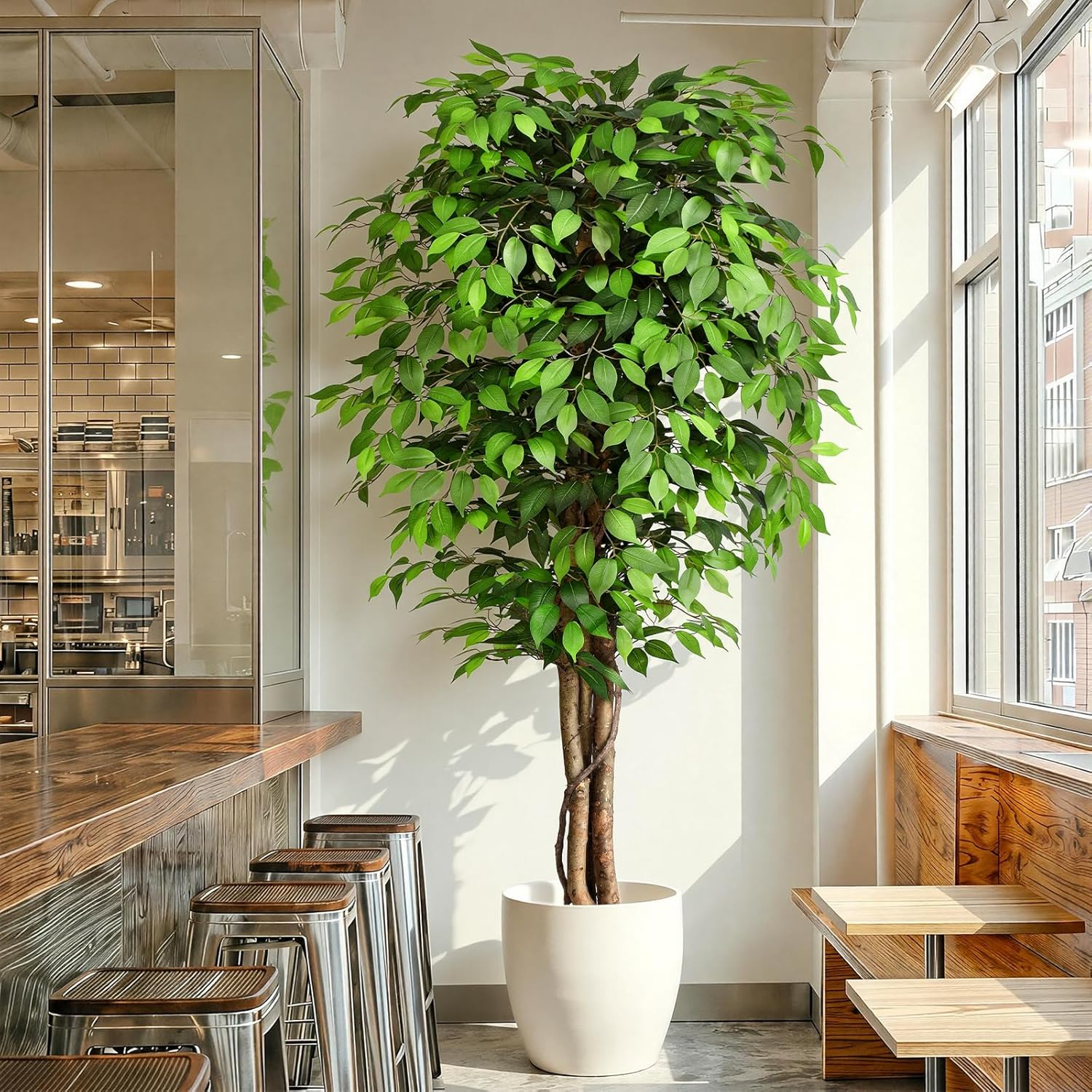 Fiddle Leaf Fig - Gerçekçi Yapay Ficus Ağacı, Doğal Gövde