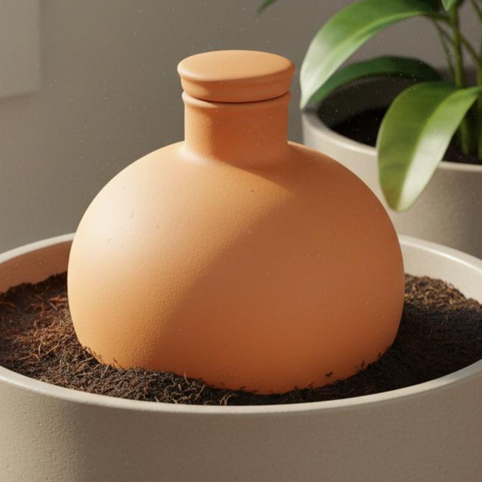 Terracotta Pot - 2 Parça Terracotta Olla Kolay Bitki
