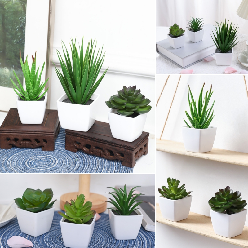 Succulent Set - (3 adetlik set) Evleri, Restoranlar, Masa