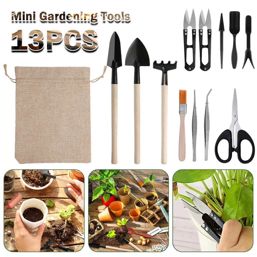 Succulent Set - Kapalı bitki için 13 adet etli