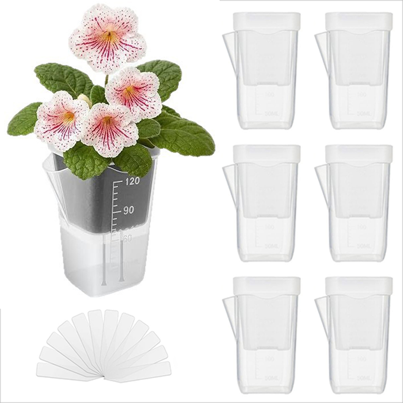 Pothos - 16/32'li Paket Kendiliğinden Sulanan Saksılar –