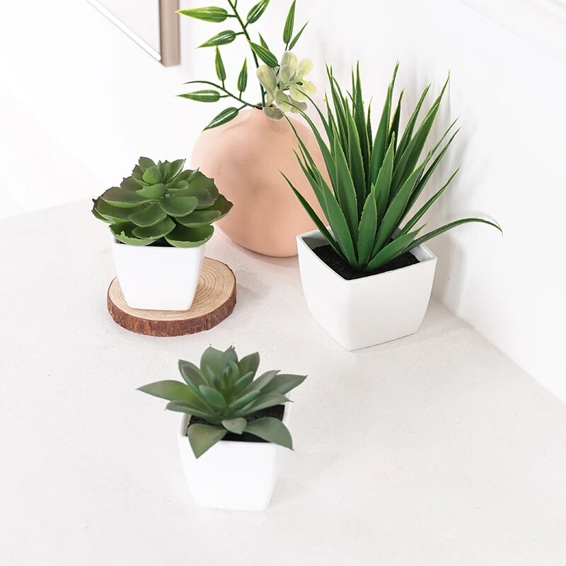 Succulent Set - 3 adet yapay Evergreen bitki Bonsai,