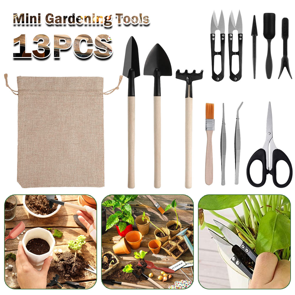 Succulent Set - Etli Bitkiler Araçları Mini Bahçe El