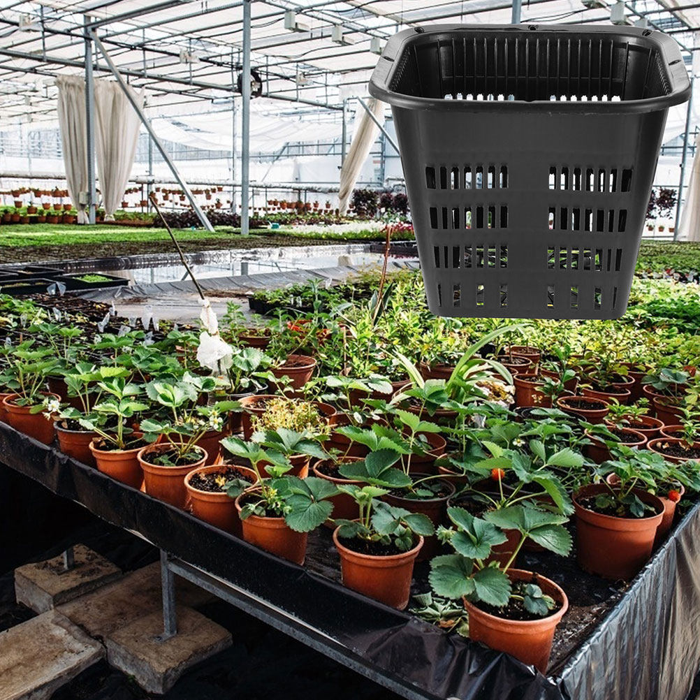 15 adet Kök Kontrollü Saksı, 1 - Indoor Plants incelemesi ve fiyatı