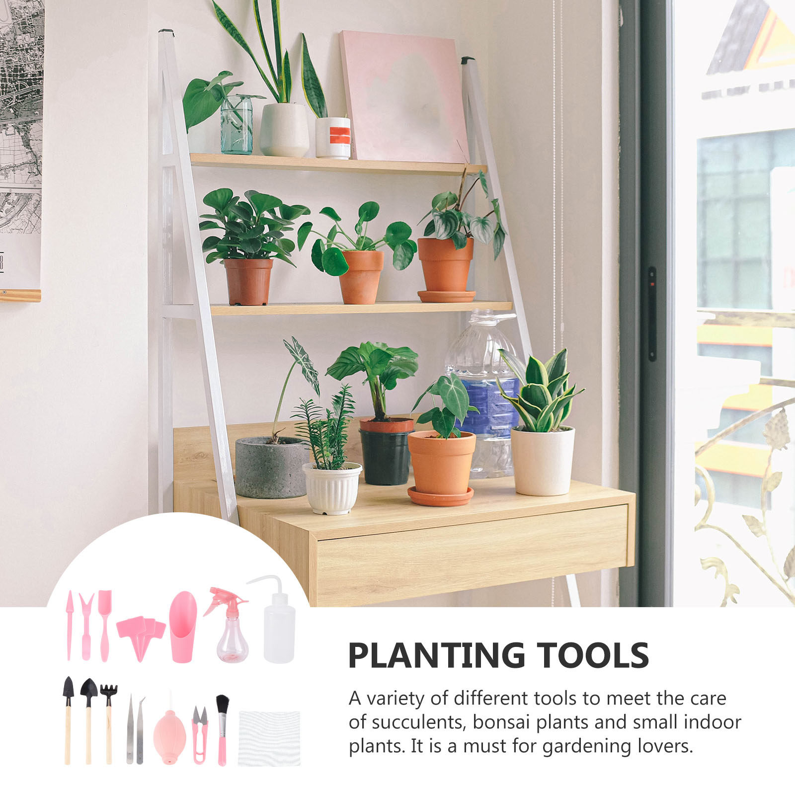 1 Set Mini Sukulent Dikim Alet - Succulent Set incelemesi ve fiyatı