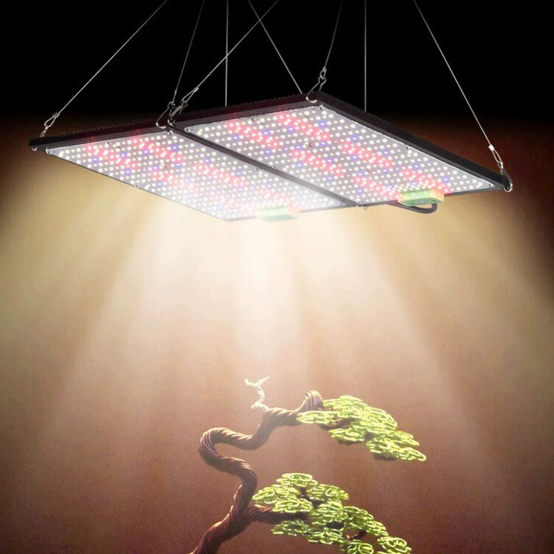 LED Kuantum Panel Bitki Yetişt - Indoor Plants incelemesi ve fiyatı