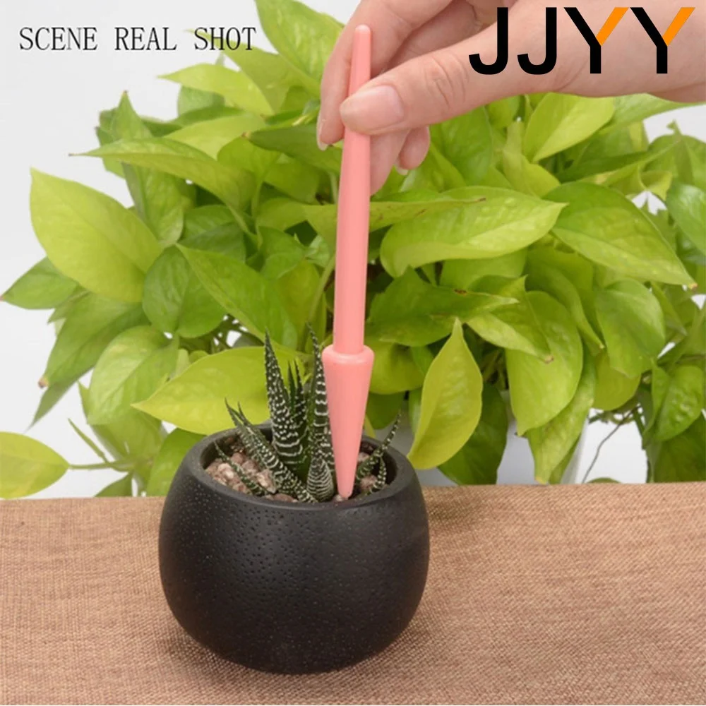 4 Adet Mini Sukulent Saksı Aks - Succulent Set incelemesi ve fiyatı