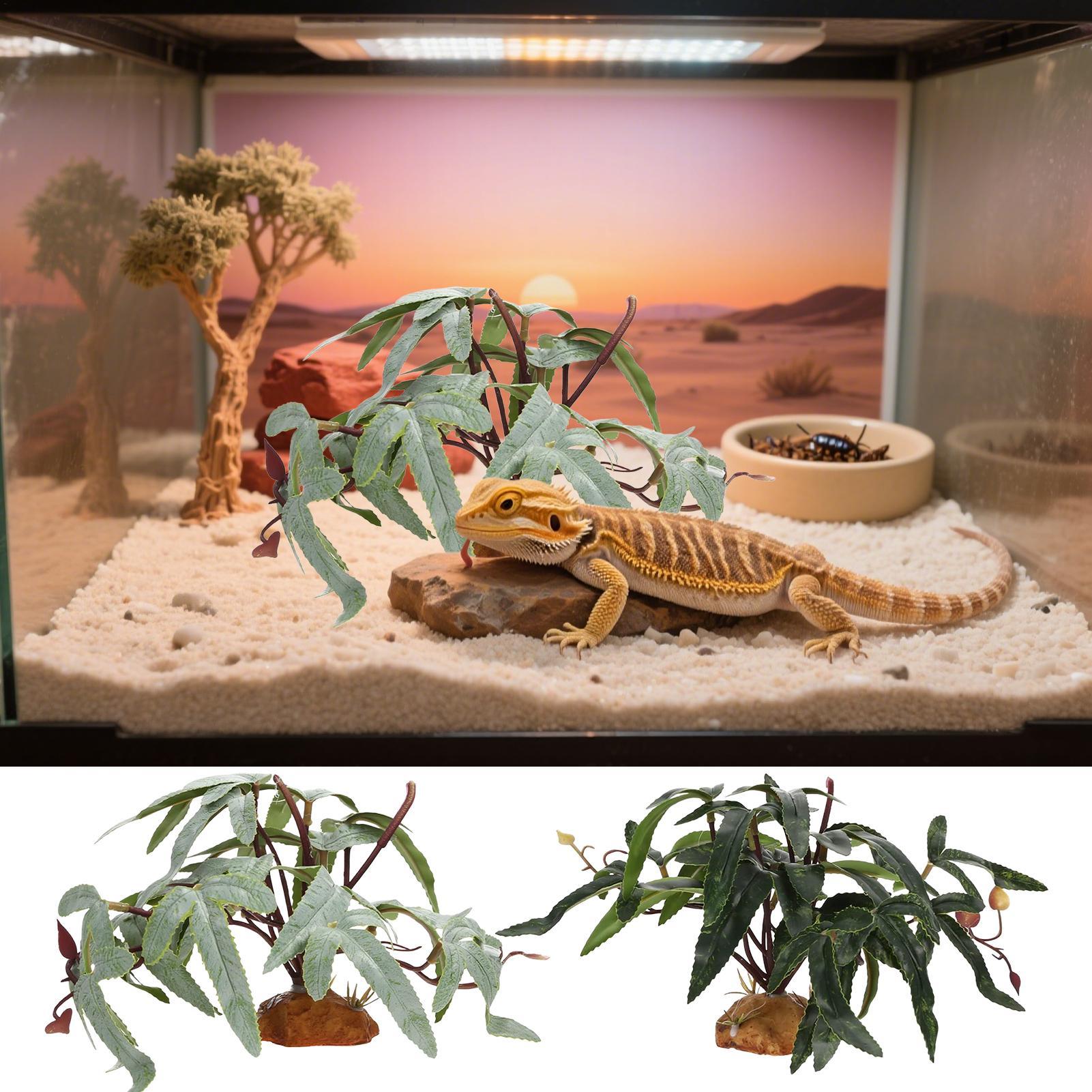 Sahte Sürüngen Bitkileri Yılan - Snake Plant incelemesi ve fiyatı