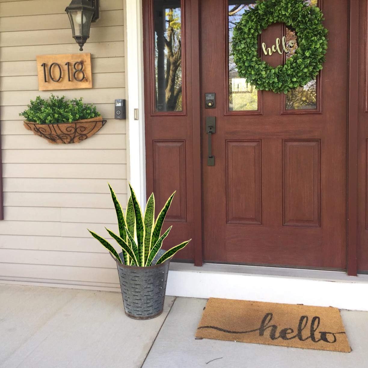 4 adet sahte yapay yılan sahte - Snake Plant incelemesi ve fiyatı