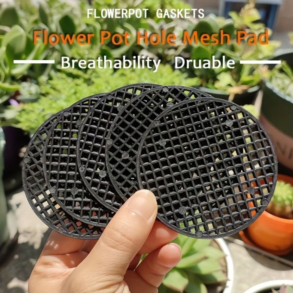 36 Yuvarlak Saksı Fileli Paspa - Terracotta Pot incelemesi ve fiyatı