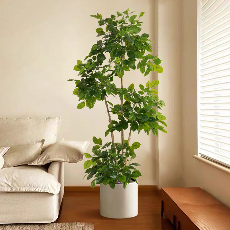 2-78in Büyük Sahte Bitkiler Ya - Fiddle Leaf Fig incelemesi ve fiyatı