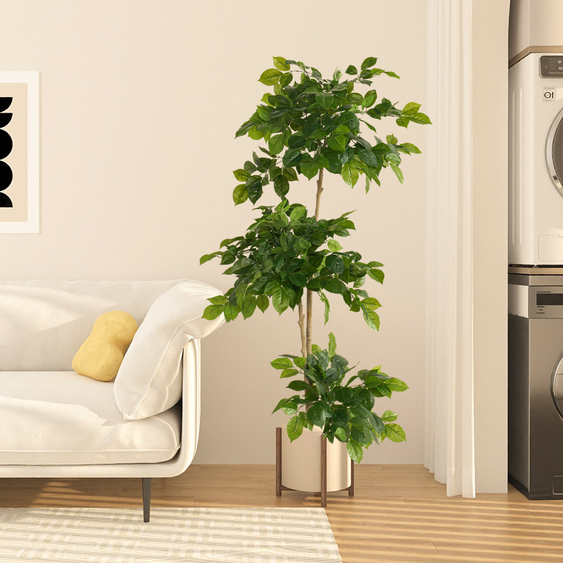 2-78in Büyük Sahte Bitkiler Ya - Fiddle Leaf Fig incelemesi ve fiyatı