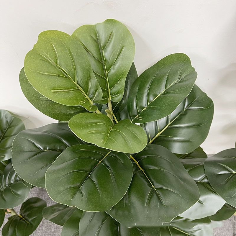 59in büyük Ficus ağacı yapay b - Fiddle Leaf Fig incelemesi ve fiyatı