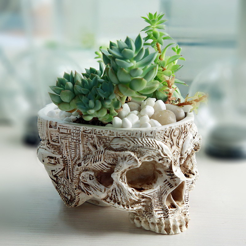 Cadılar bayramı kafatası saksı - Snake Plant Ceramic incelemesi ve fiyatı