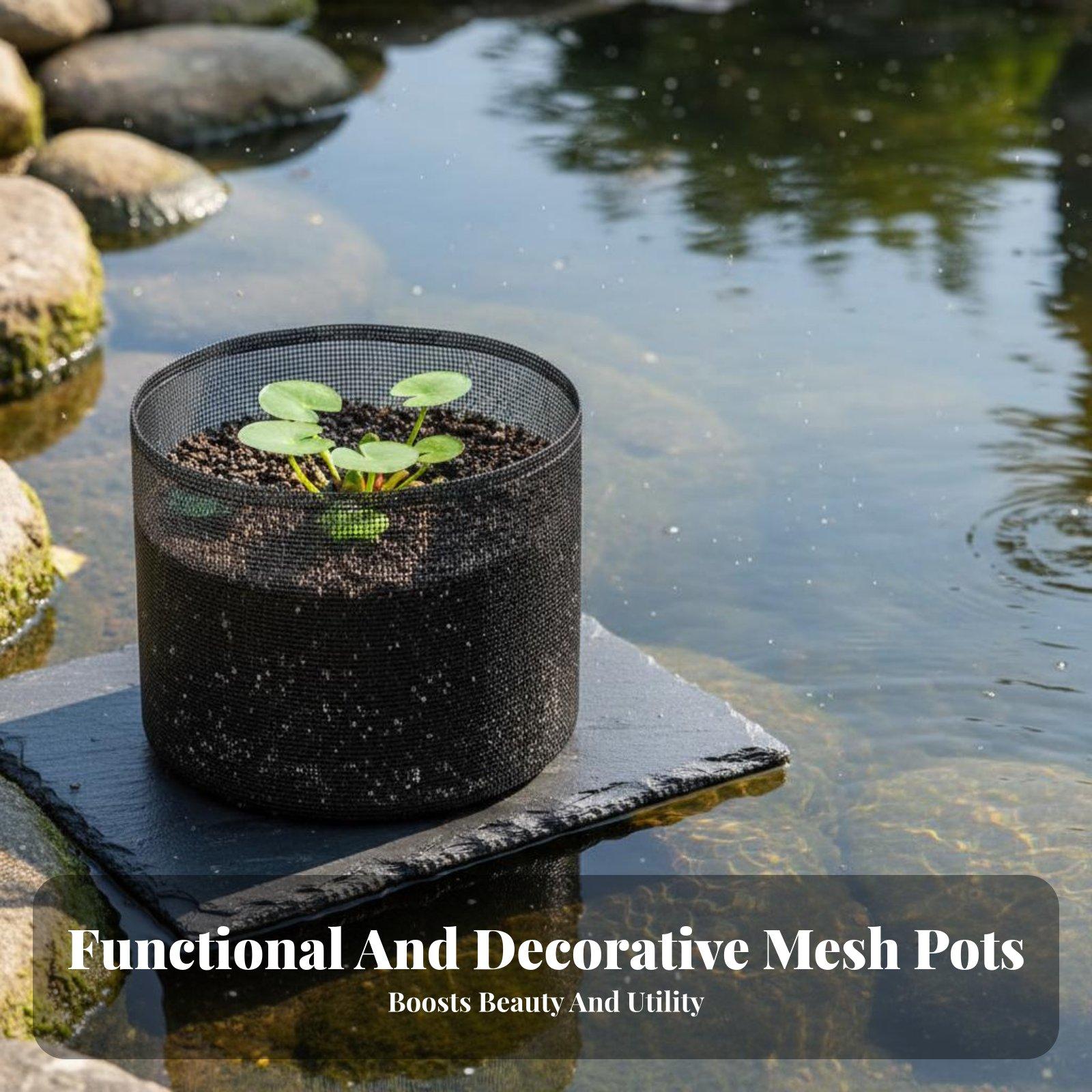 4 Parça Nilüfer Yetiştirme Sak - Plant Pot incelemesi ve fiyatı