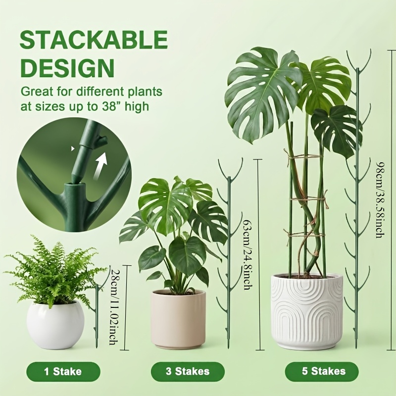 Monstera Bitki Destek Çubuklar - Plant Support Stake incelemesi ve fiyatı