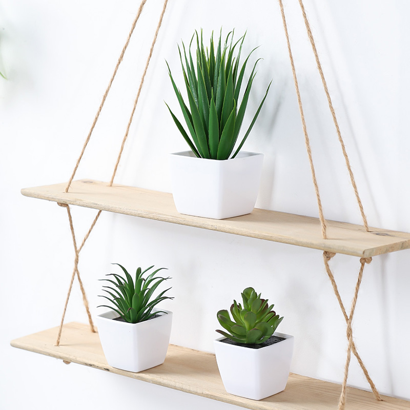 (3 adetlik set) Evleri, Restor - Succulent Set incelemesi ve fiyatı