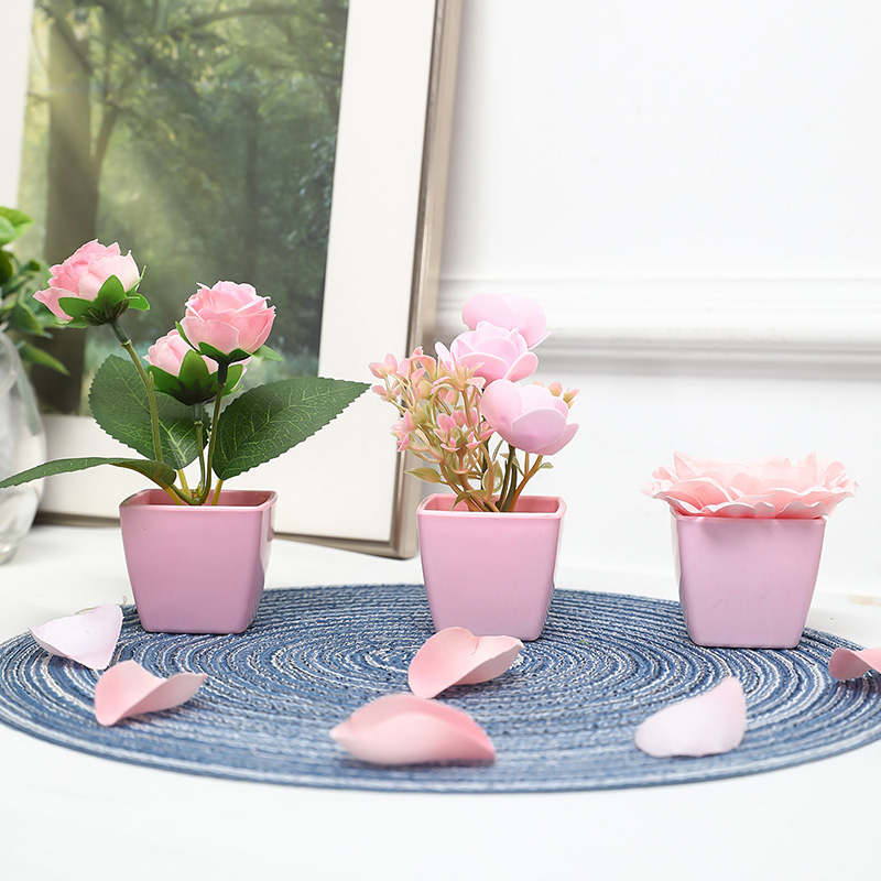(3 adetlik set) Evleri, Restor - Succulent Set incelemesi ve fiyatı