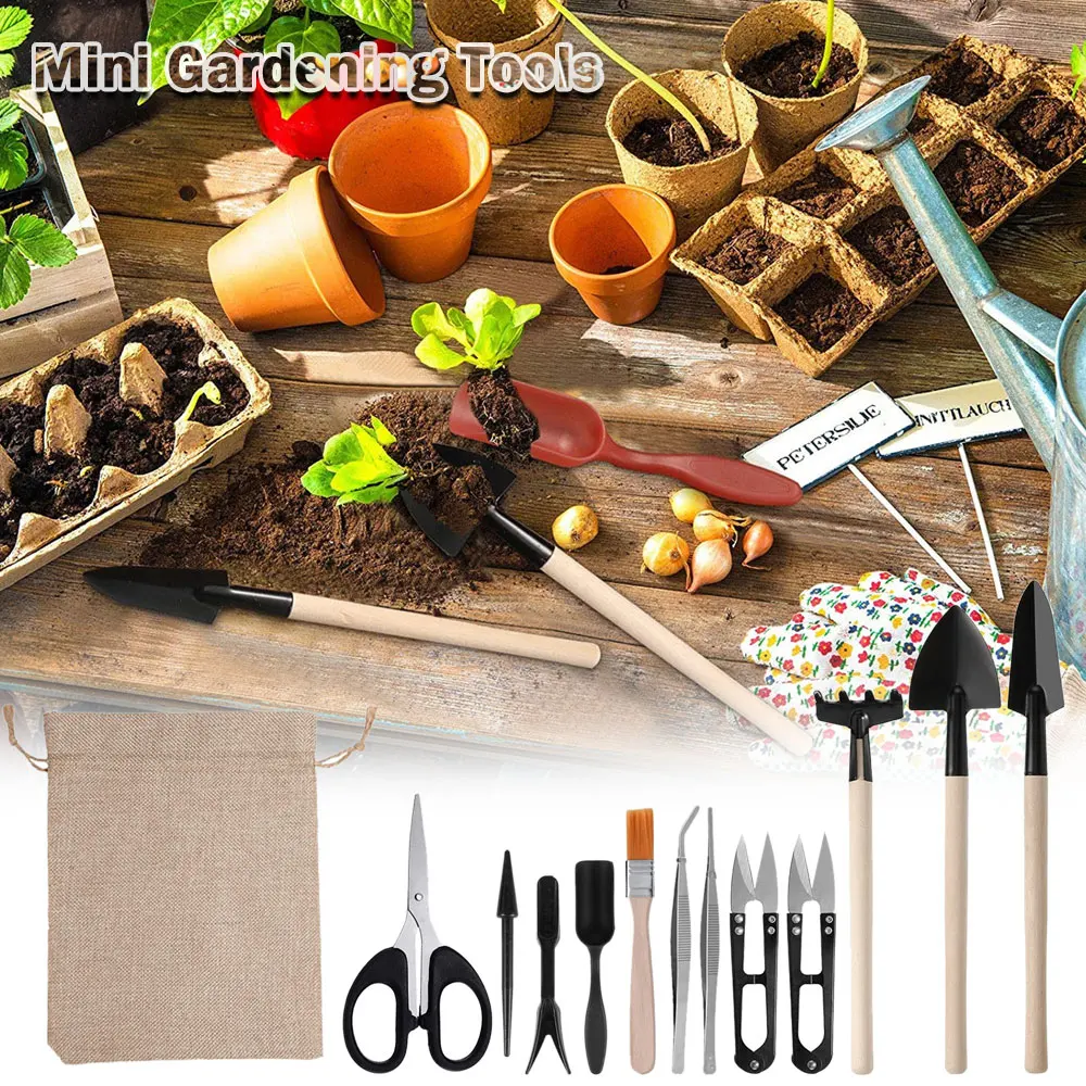 Kapalı bitki için 13 adet etli - Succulent Set incelemesi ve fiyatı