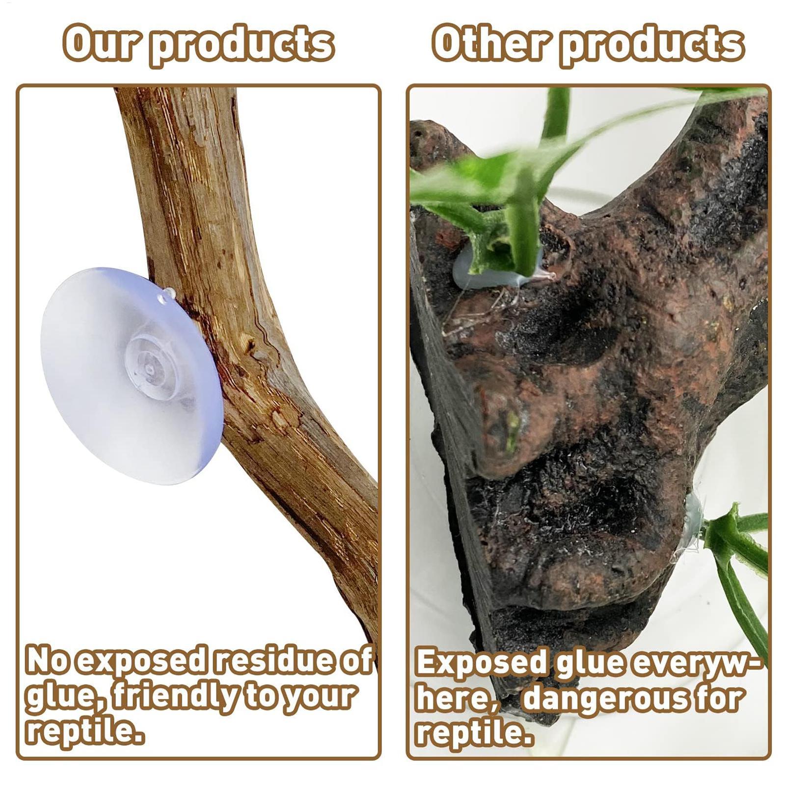 Sürüngen Tırmanma Köşesi Çubuğ - Snake Plant incelemesi ve fiyatı