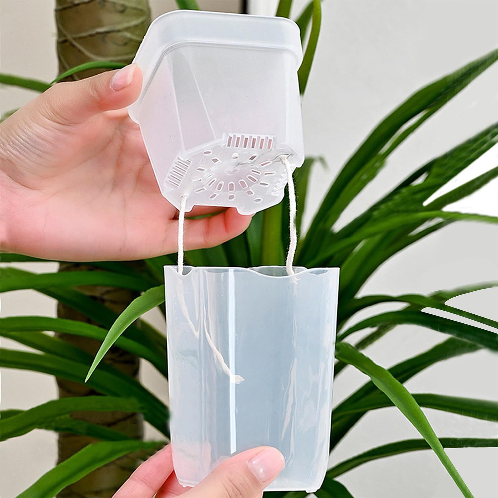 16/32'li Paket Kendiliğinden S - Pothos incelemesi ve fiyatı