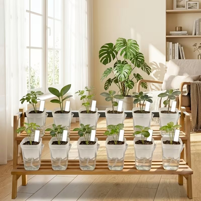 16/32'li Paket Kendiliğinden S - Pothos incelemesi ve fiyatı