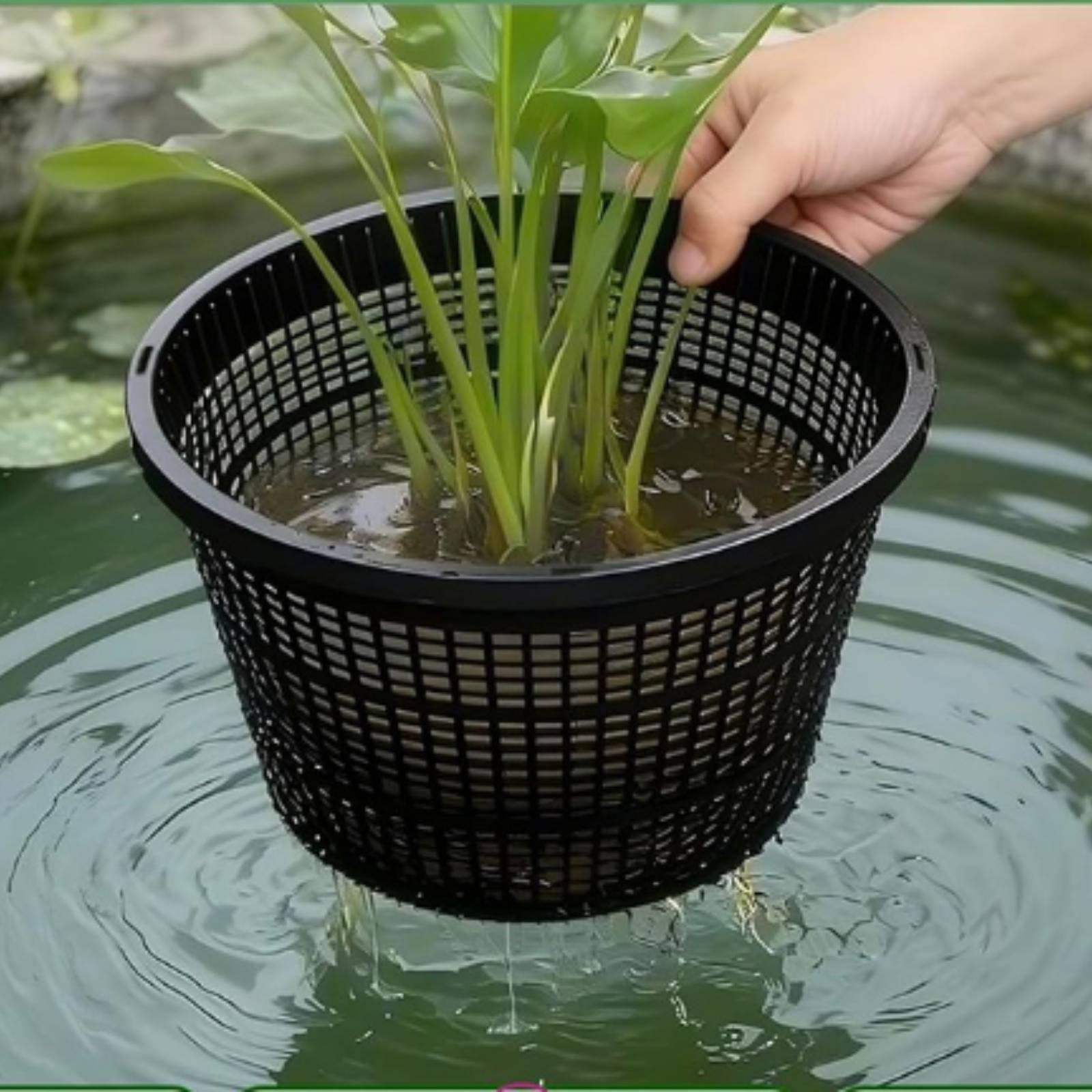Hidroponik Saksı Geniş Kenarlı - Plant Pot incelemesi ve fiyatı