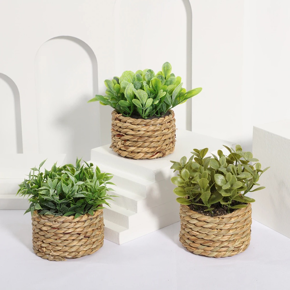 Yeşil Yapay Saksı Bitki Okalip - Succulent Set incelemesi ve fiyatı