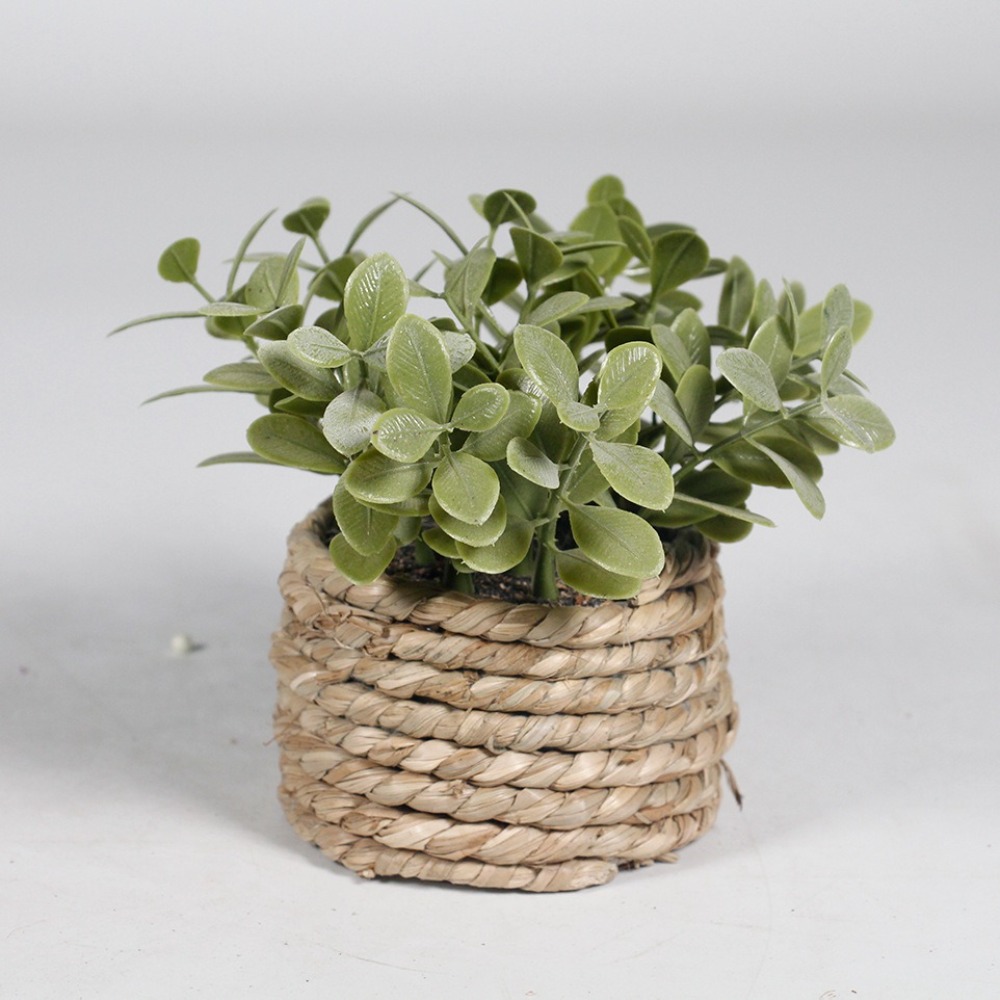 Yeşil Yapay Saksı Bitki Okalip - Succulent Set incelemesi ve fiyatı