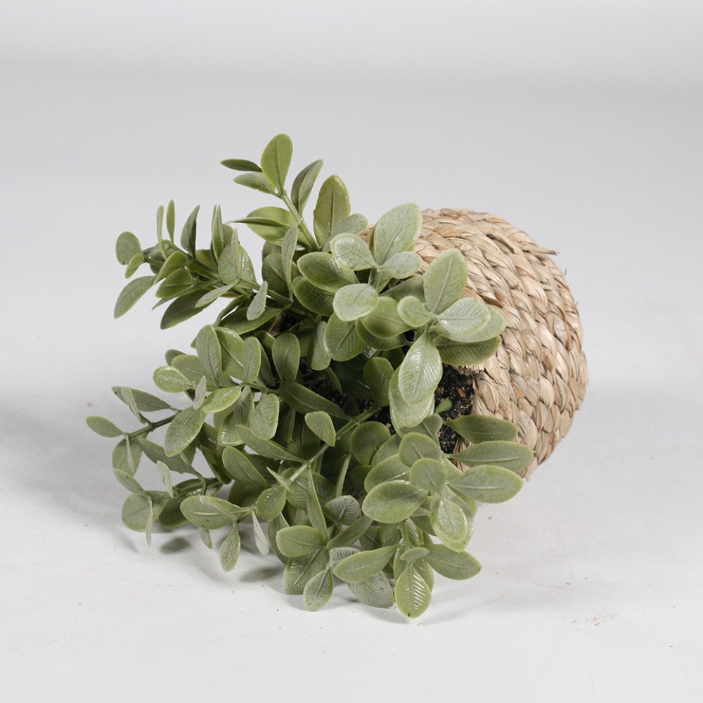 Yeşil Yapay Saksı Bitki Okalip - Succulent Set incelemesi ve fiyatı