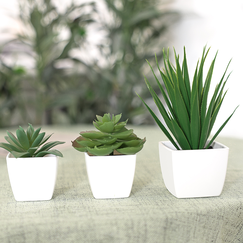 3 adet yapay Evergreen bitki B - Succulent Set incelemesi ve fiyatı