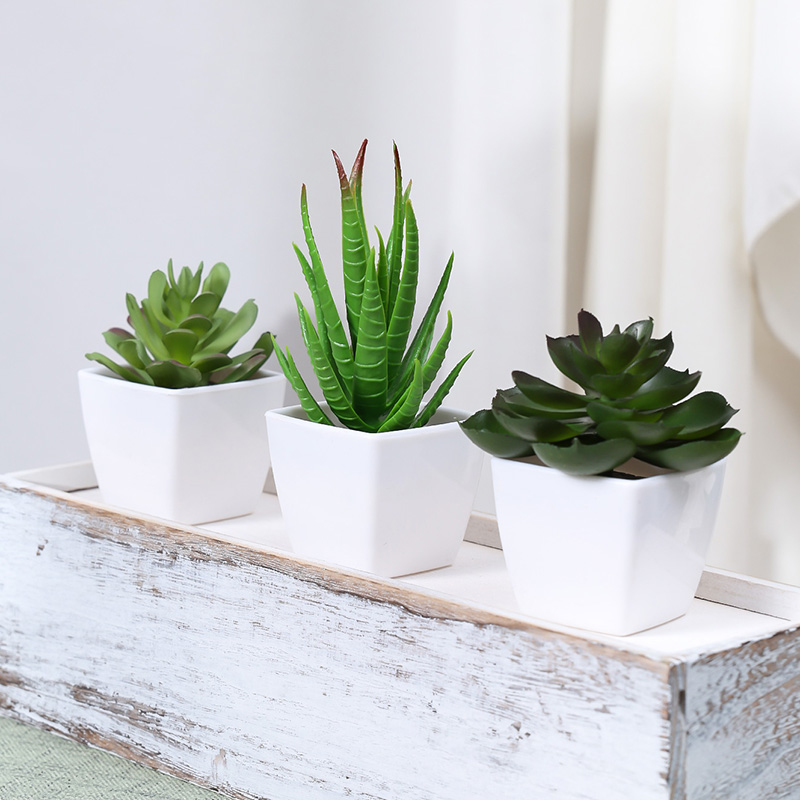 3 adet yapay Evergreen bitki B - Succulent Set incelemesi ve fiyatı