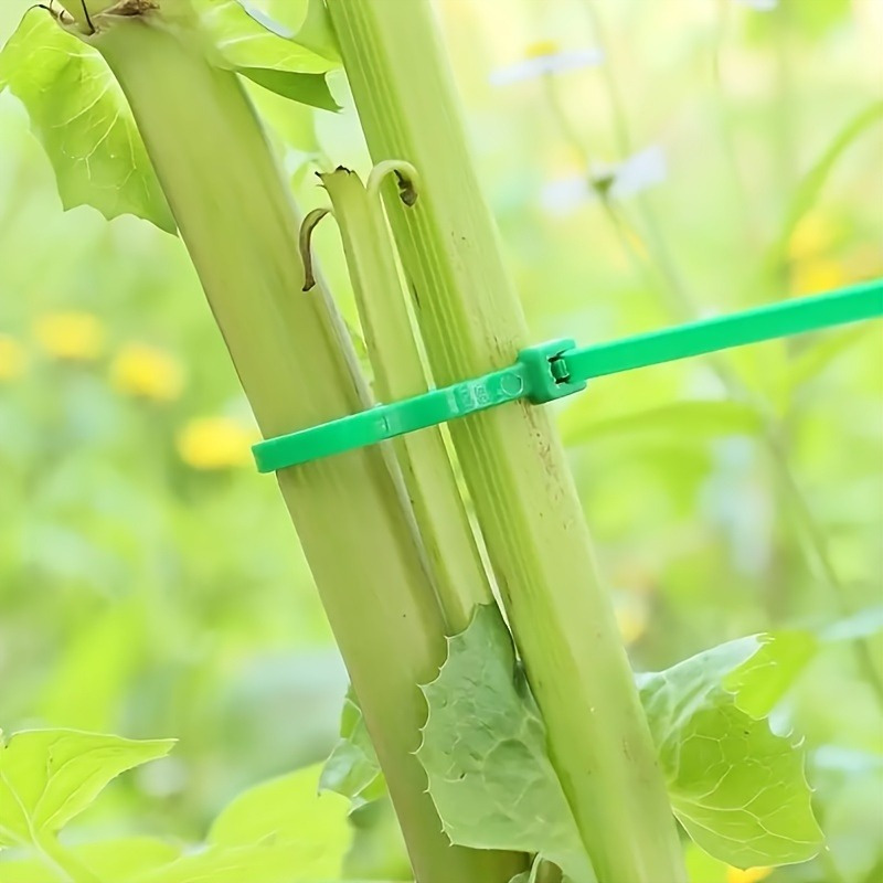 100 adet Bahçe Kablo Bağı, Bit - Plant Pot incelemesi ve fiyatı