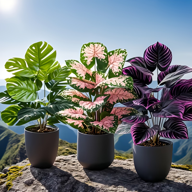 3 Adet Karışık Yapay Bitki Set - Fiddle Leaf Fig incelemesi ve fiyatı