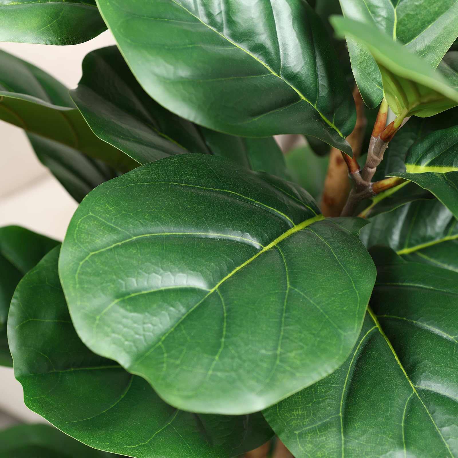 Beyaz Saksılı Yapay İncir Ağac - Fiddle Leaf Fig incelemesi ve fiyatı