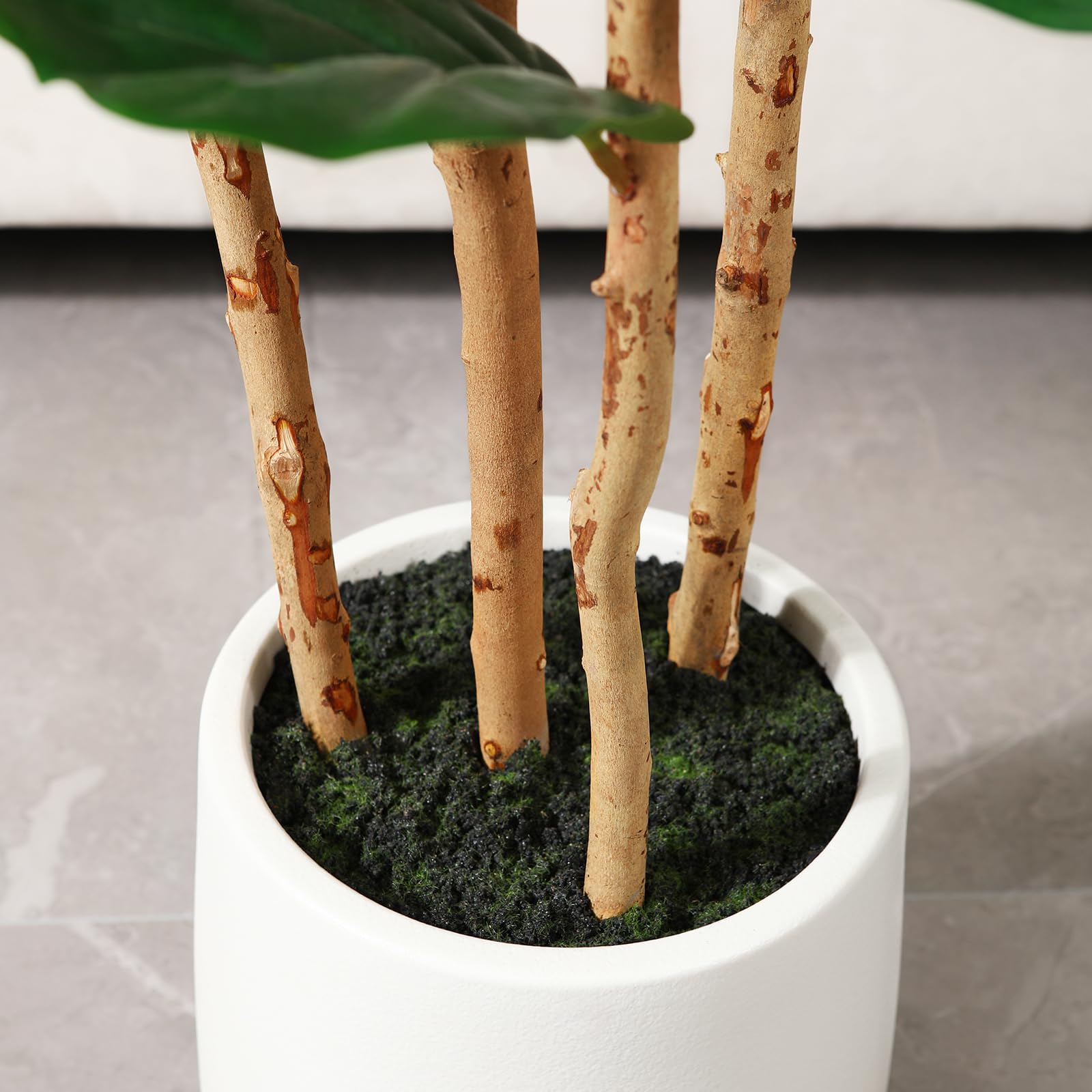 Beyaz Saksılı Yapay İncir Ağac - Fiddle Leaf Fig incelemesi ve fiyatı