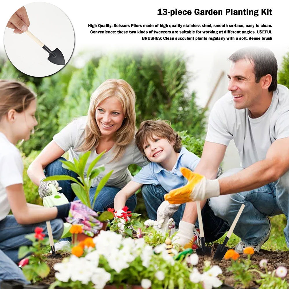 Etli Bitkiler Araçları Mini Ba - Succulent Set incelemesi ve fiyatı