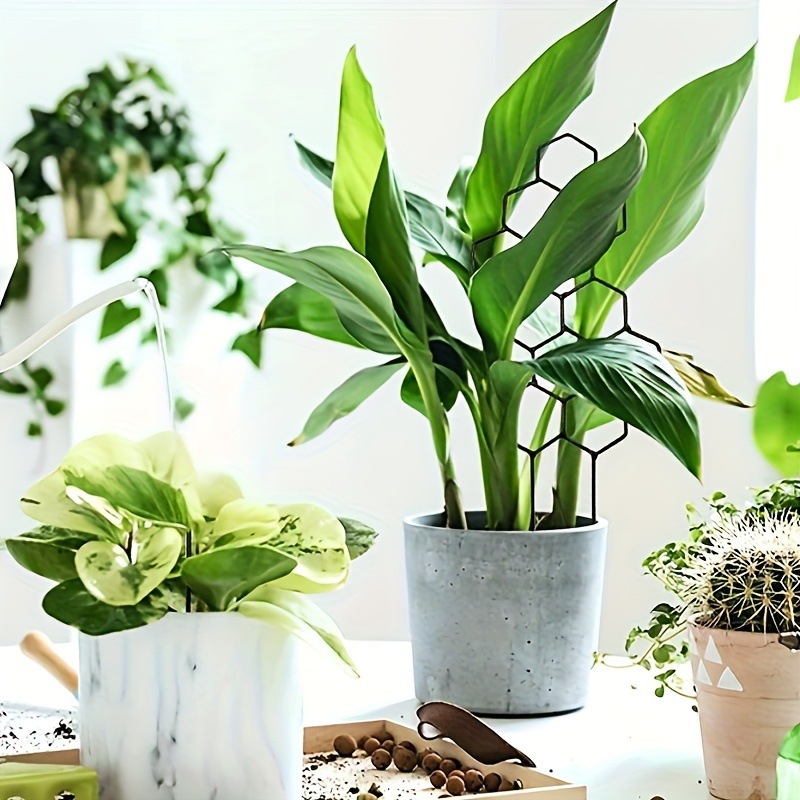 1 adet petek tasarımlı bitki k - Terracotta Pot incelemesi ve fiyatı