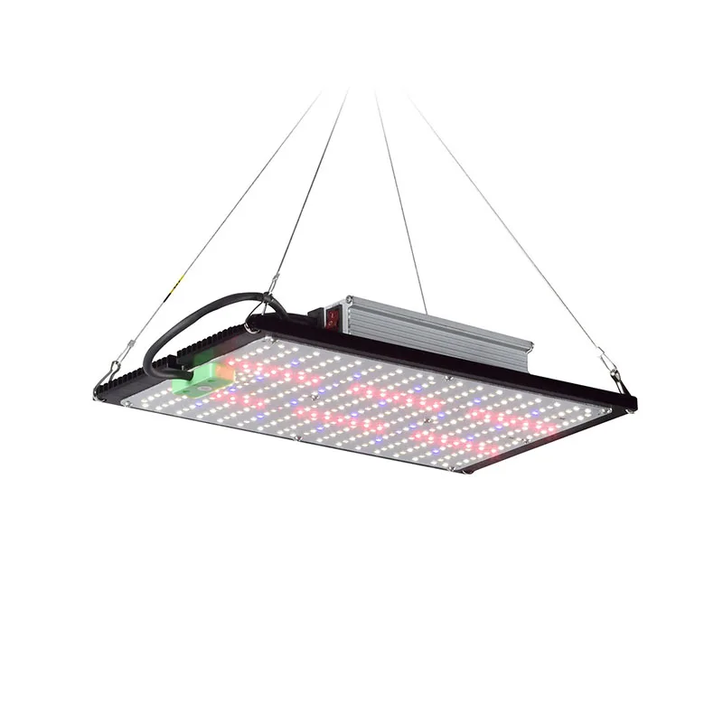 LED Kuantum Panel Bitki Yetişt - Indoor Plants incelemesi ve fiyatı