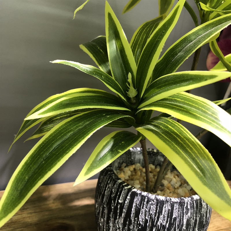 35CM 3 çatal yapay masaüstü sa - Snake Plant incelemesi ve fiyatı