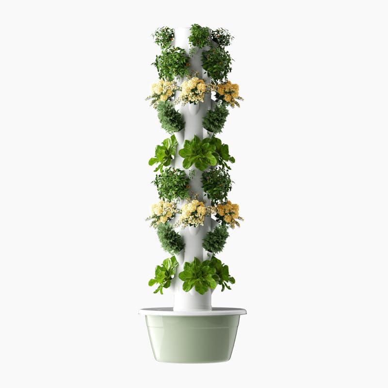 Dikey Hidroponik Yetiştirme Ku - Pothos incelemesi ve fiyatı