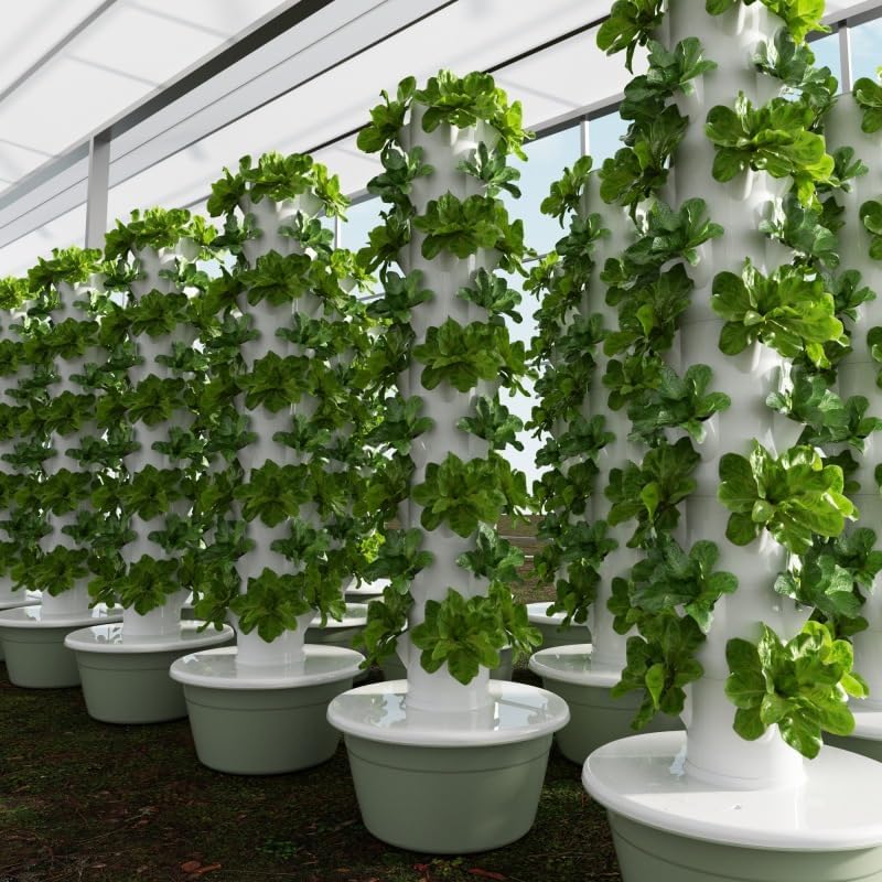 Dikey Hidroponik Yetiştirme Ku - Pothos incelemesi ve fiyatı